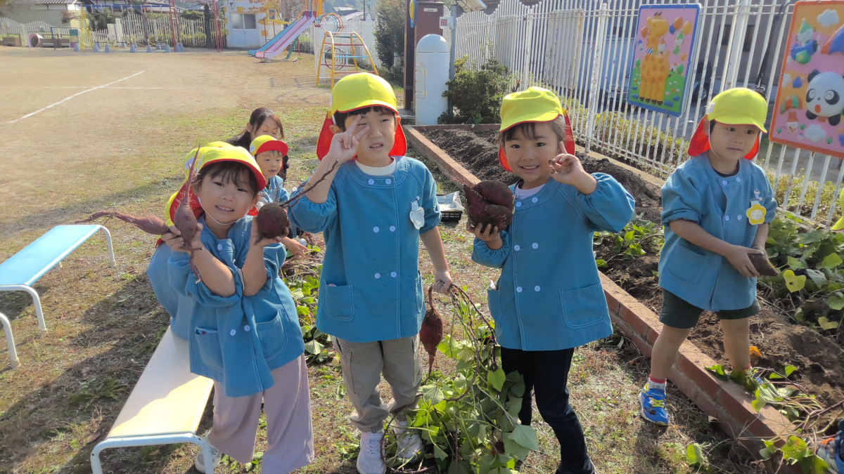 WIN_20251029_09_33_35_Pro