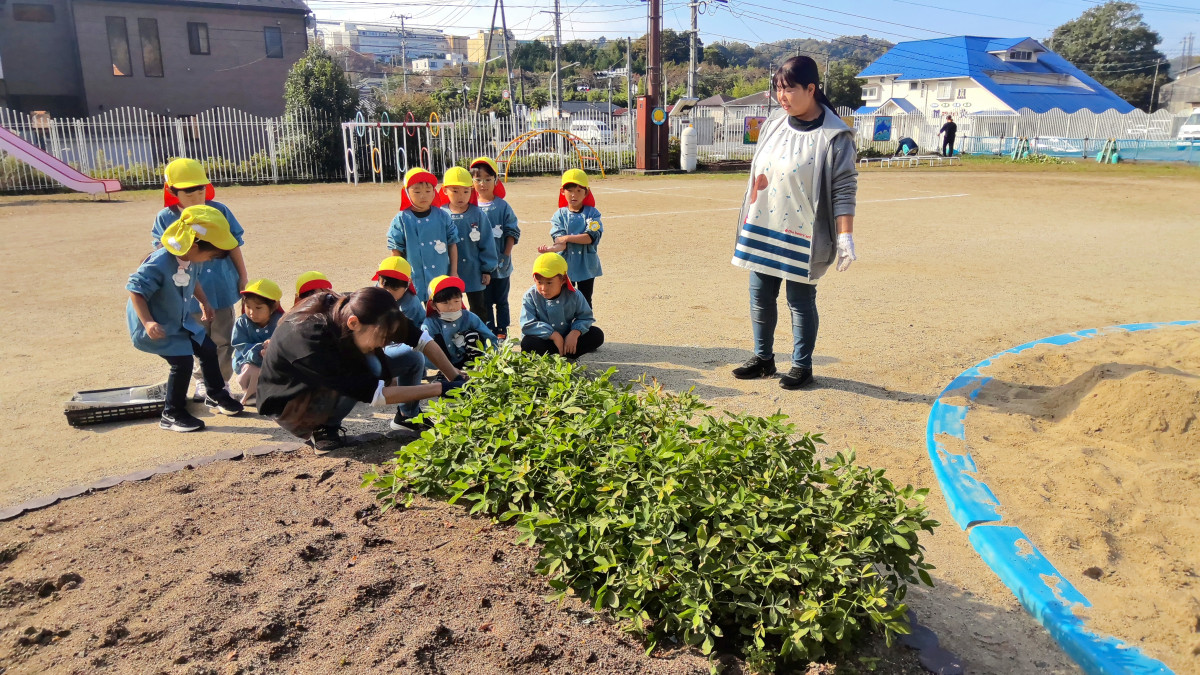 WIN_20251029_09_44_05_Scan