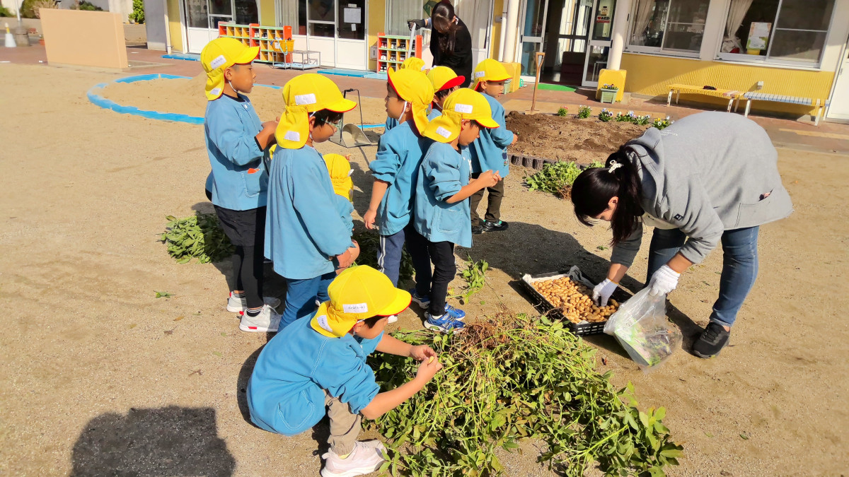 WIN_20251029_09_52_46_Scan