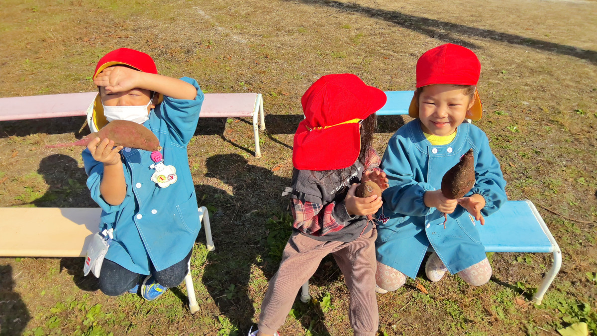 WIN_20251029_10_00_24_Scan