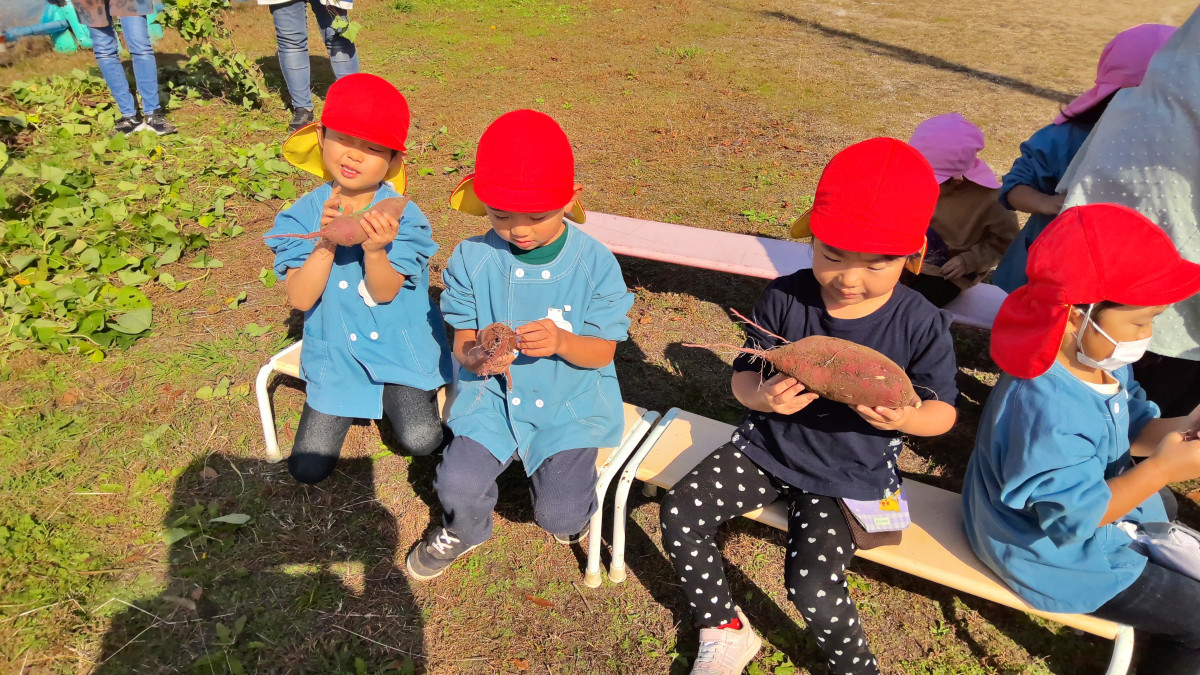 WIN_20251029_10_01_41_Scan