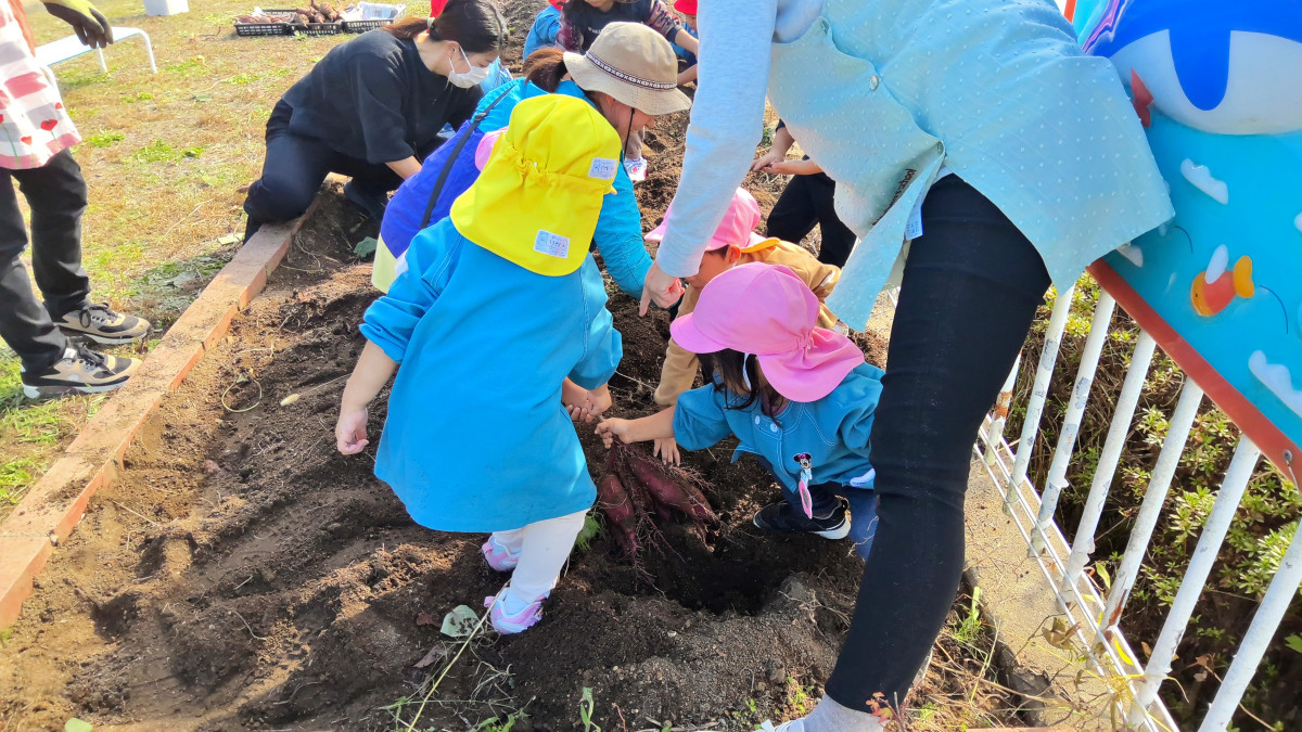 WIN_20251029_10_05_26_Scan