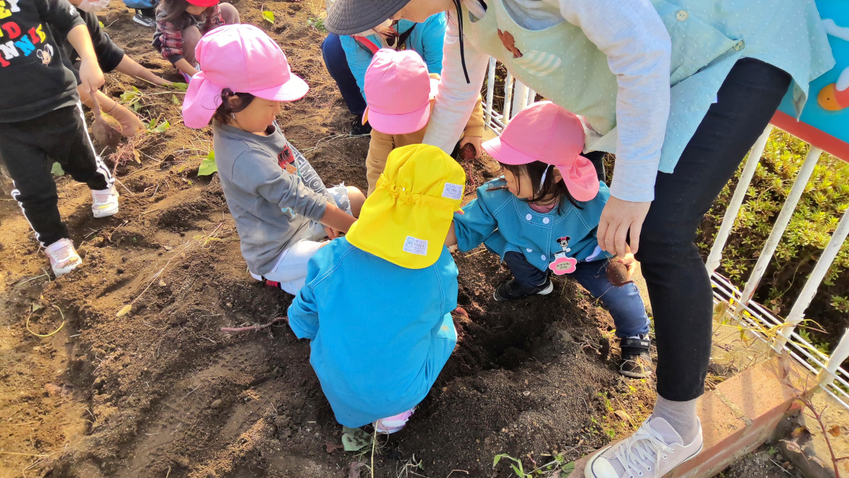 WIN_20251029_10_05_36_Scan