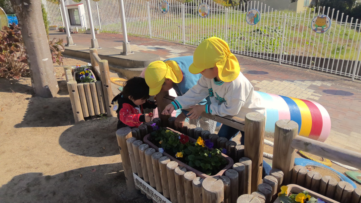 WIN_20251030_09_42_55_Pro