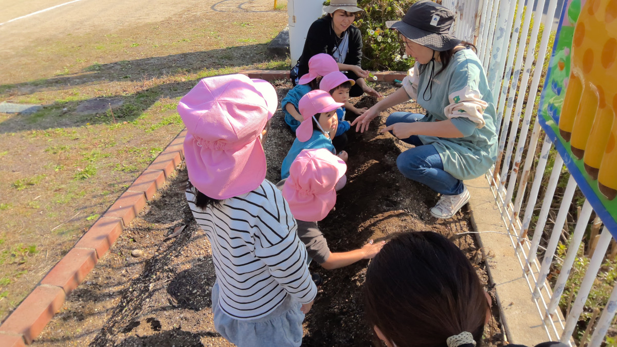 WIN_20251107_10_33_58_Pro