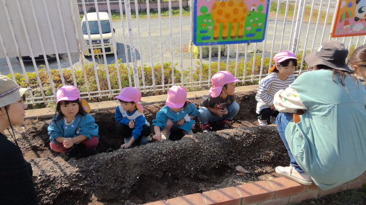 WIN_20251107_10_34_18_Pro