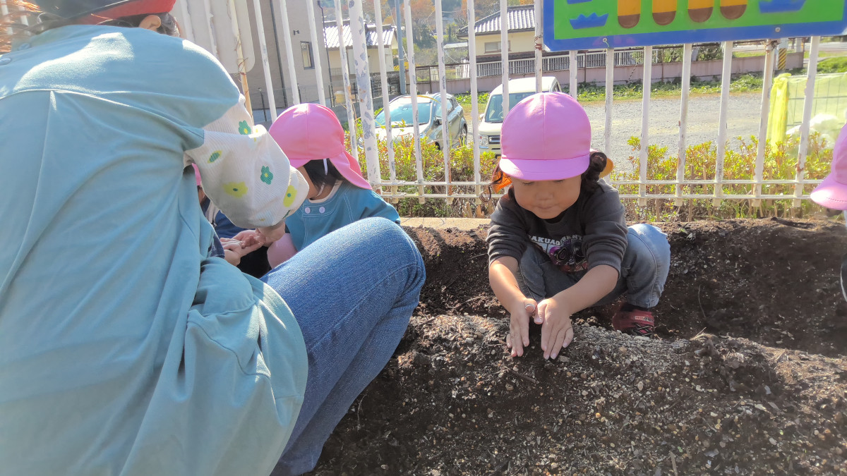 WIN_20251107_10_35_51_Pro