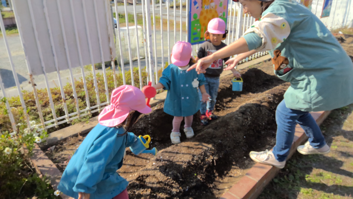 WIN_20251107_10_38_40_Pro