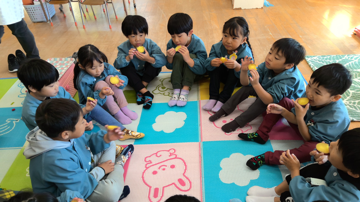 WIN_20251112_10_24_55_Pro