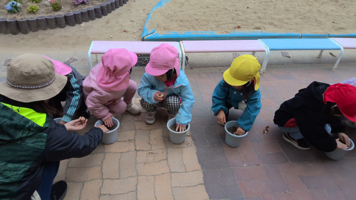 WIN_20251203_09_59_11_Pro