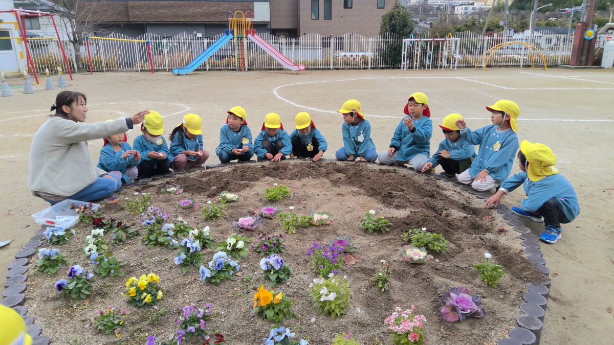 WIN_20251203_10_05_15_Pro