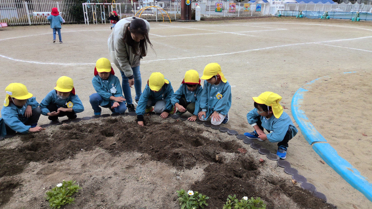 WIN_20251203_10_05_38_Pro