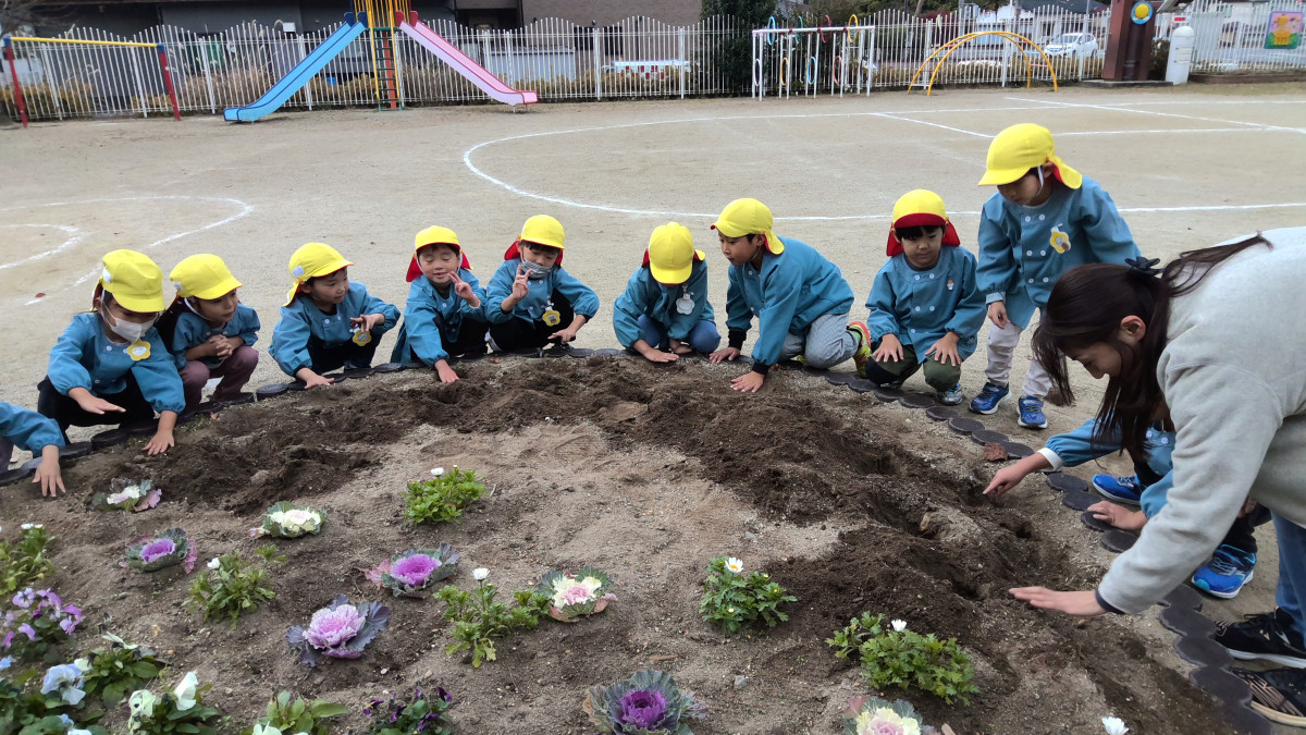 WIN_20251203_10_06_30_Pro