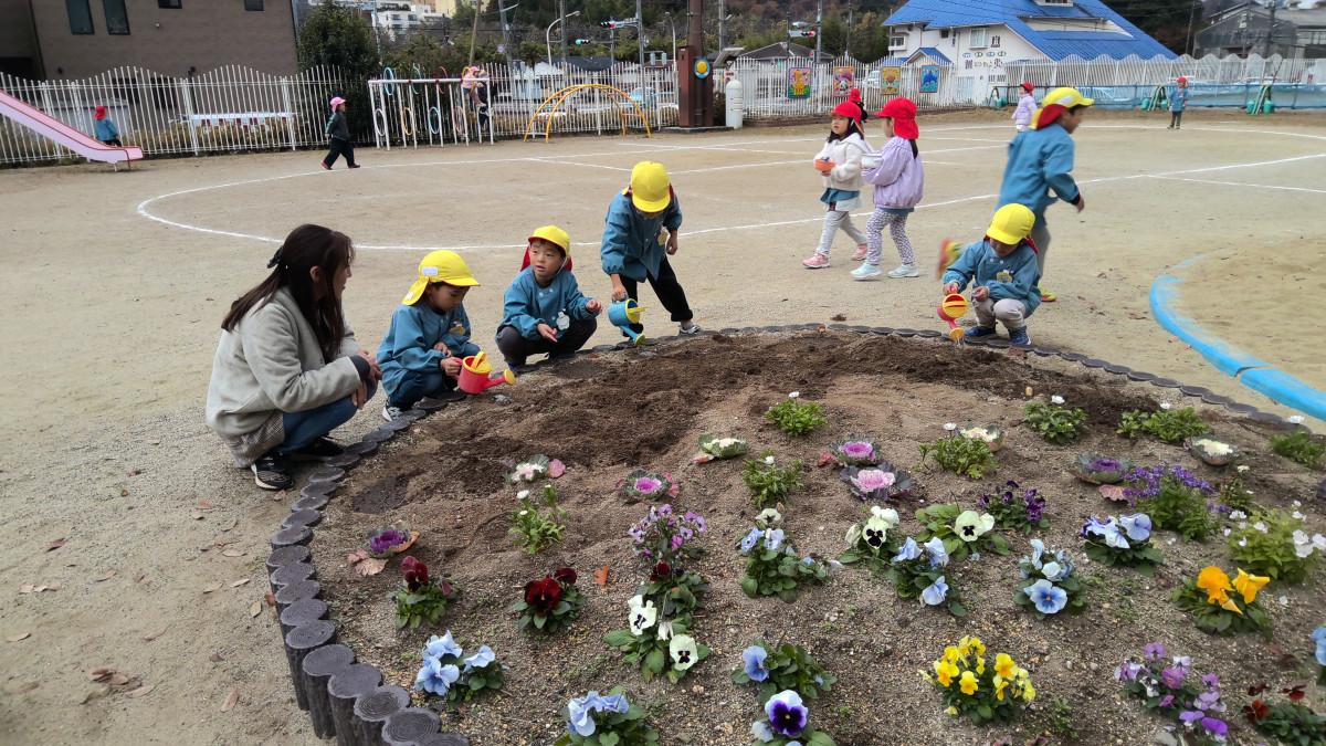 WIN_20251203_10_09_03_Pro