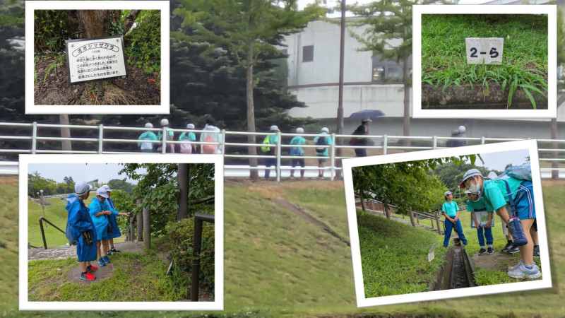 7.11 海浜オリエンテーリング