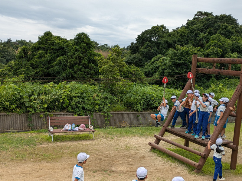 PXL_20250712_050034925.PORTRAIT.ORIGINAL