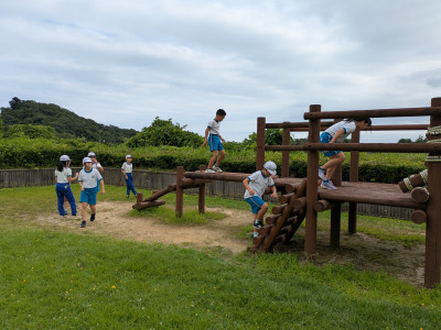 PXL_20250712_050251535