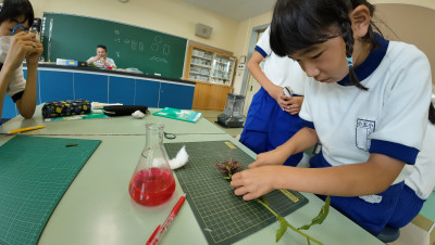 DJI_20250618104452_0043_D