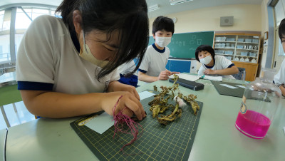 DJI_20250618104520_0044_D