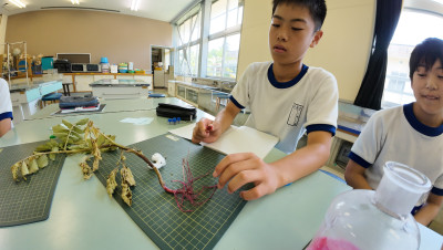 DJI_20250618104700_0048_D