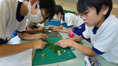 DJI_20250618104711_0049_D