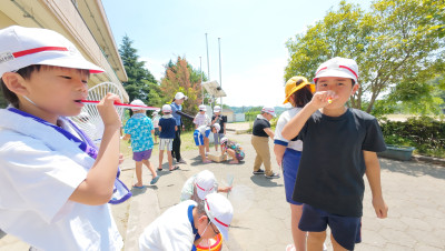 DJI_20250702110111_0017_D