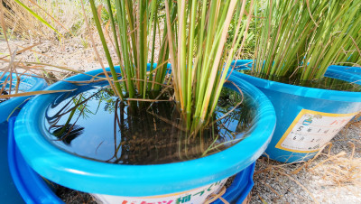 DJI_20250725084229_0002_D