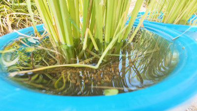 DJI_20250725084252_0003_D