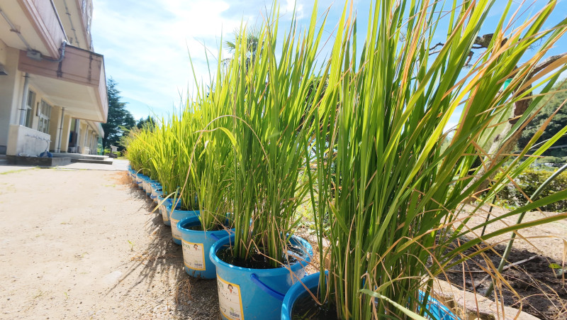 DJI_20250728085433_0001_D