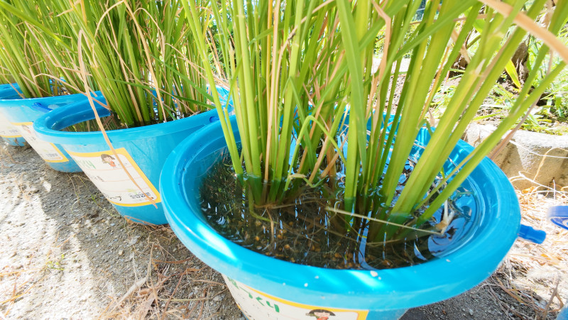 DJI_20250728085446_0002_D