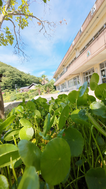 DJI_20250728085651_0006_D