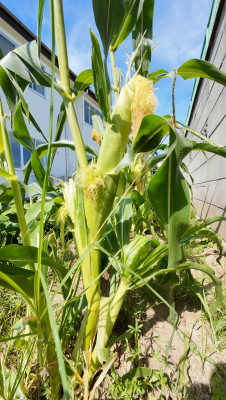 DJI_20250728085915_0010_D