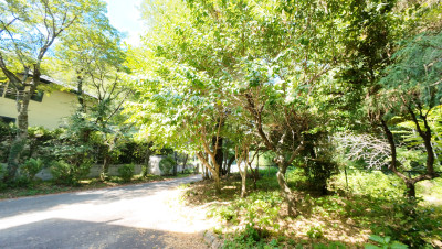 DJI_20250728090157_0015_D