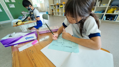 DJI_20250826090311_0009_D