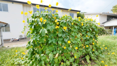 DJI_20250826093823_0004_D