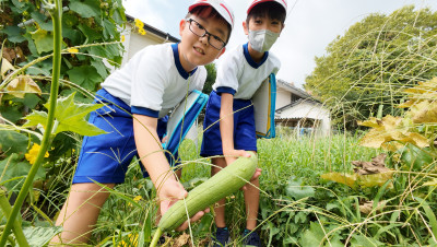 DJI_20250826093911_0006_D