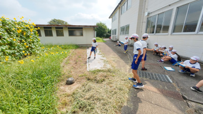 DJI_20250826094000_0007_D