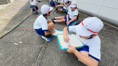 DJI_20250826094040_0008_D