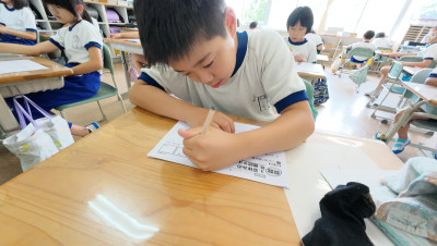 DJI_20250826094529_0014_D