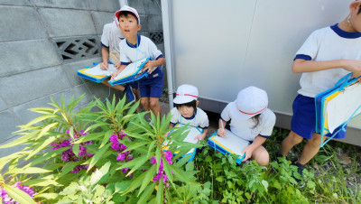 DJI_20250827101105_0003_D