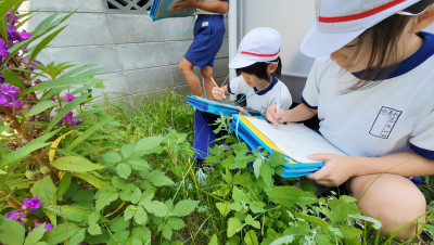 DJI_20250827101127_0004_D