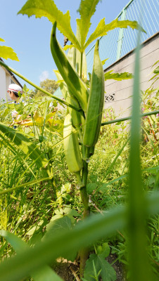 DJI_20250827101158_0005_D