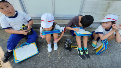 DJI_20250827101208_0006_D