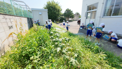 DJI_20250827101248_0008_D