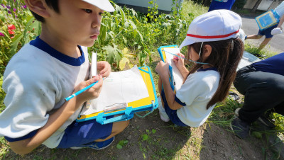 DJI_20250827101342_0011_D