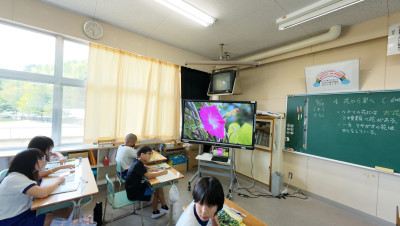 DJI_20250828094126_0010_D