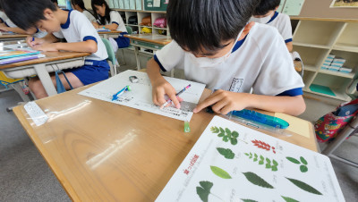 DJI_20250829090210_0007_D