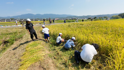 DJI_20250901094725_0002_D