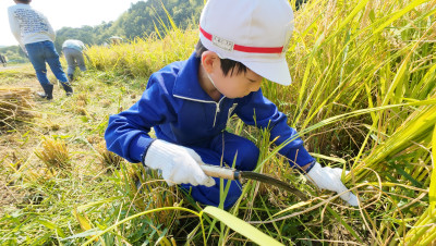 DJI_20250901094802_0004_D