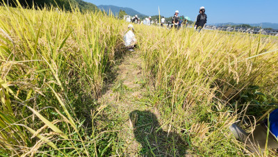 DJI_20250901095007_0007_D